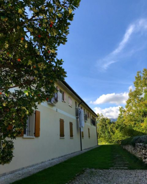 BeeHouse - La Casa delle Api Agriturismo Borso Del Grappa